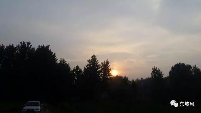 12769b10c6437e08b2a0654d65d70c2f_640_wx_fmt=jpeg&tp=webp&wxfrom=5&wx_lazy=1