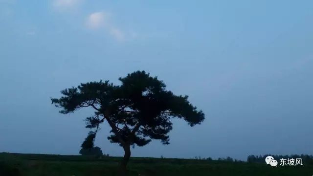 7d5077a829d528c89e4d27ee5a1eb820_640_wx_fmt=jpeg&tp=webp&wxfrom=5&wx_lazy=1