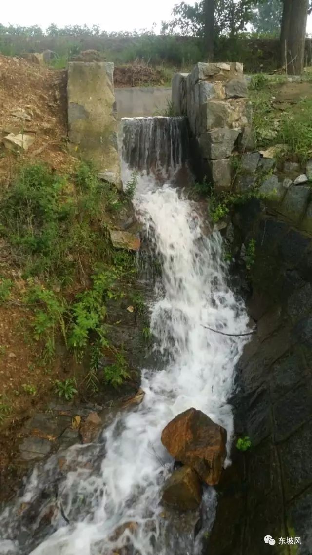 e62e0b5e6b72ccab0afe84818d77a8e6_640_wx_fmt=jpeg&tp=webp&wxfrom=5&wx_lazy=1