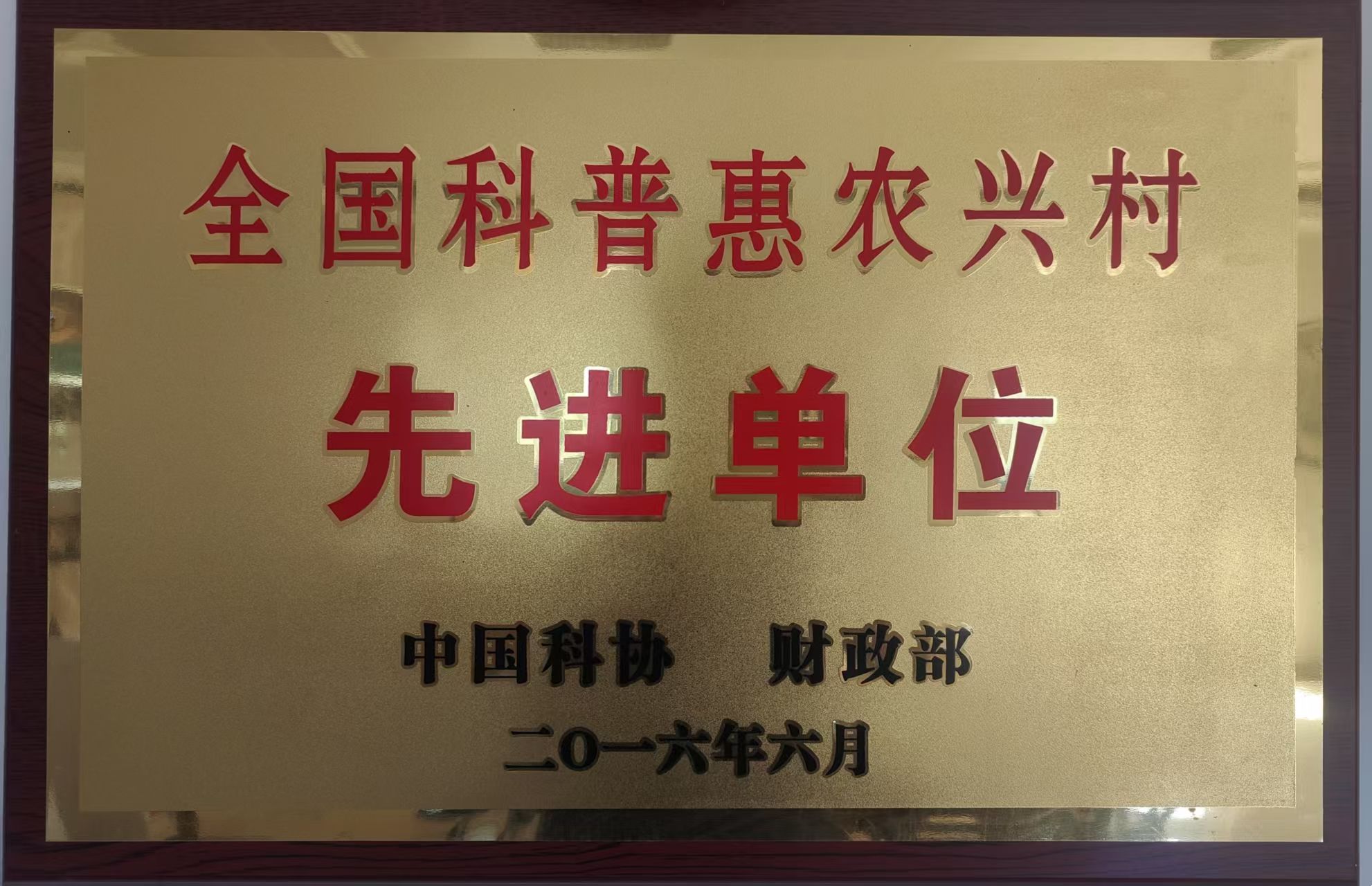 虎崖春1